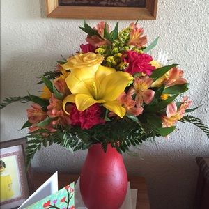 Meet your Posher, Norma