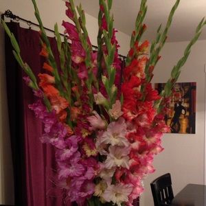 Meet your Posher, Candice