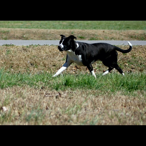 Meet the seller - Picture 5 of 16