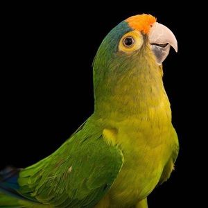 Meet your Posher, Matt