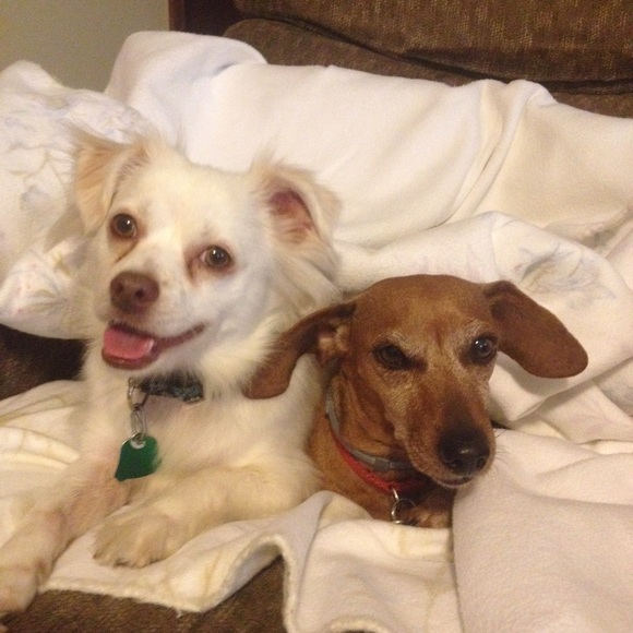 Meet your Posher, Rebecca - Picture 2 of 7