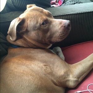 Meet your Posher, Tyrell