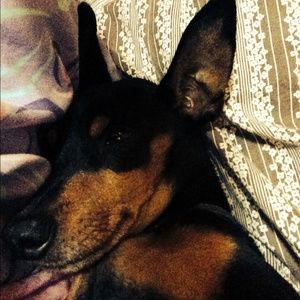 Meet your Posher, Tess