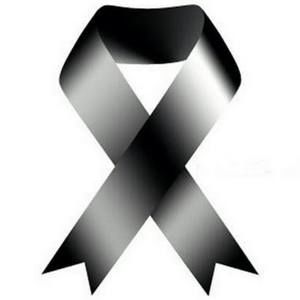 Meet your Posher, Elsi