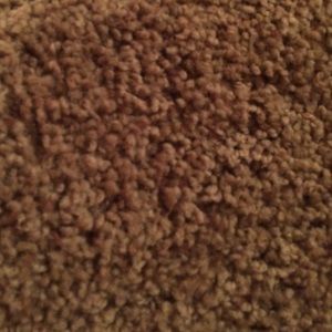 Meet your Posher, Brad