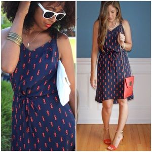 Navy&Orange Seahorse High/Low Dress