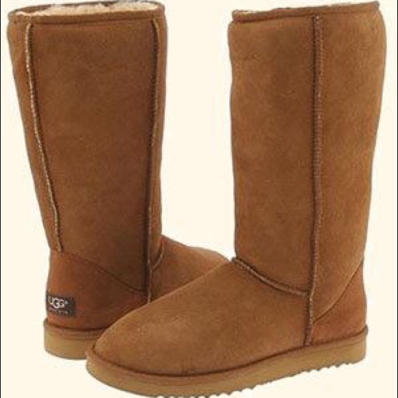 Tall Chestnut Uggs ✨GREAT CONDITION✨