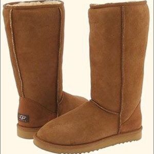 Tall Chestnut Uggs ✨GREAT CONDITION✨