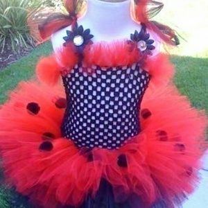 Special lady bug costume
