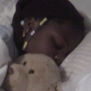 Meet your Posher, Camellia