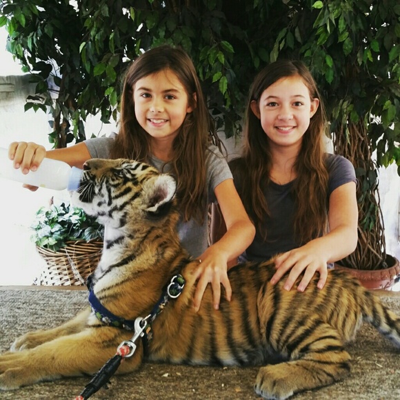 Meet your Posher, Vickie - Picture 2 of 4