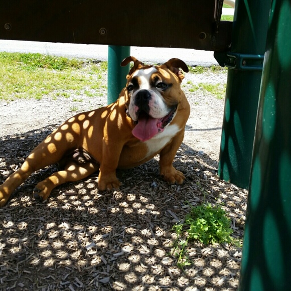 Meet your Posher, Vickie - Picture 3 of 4