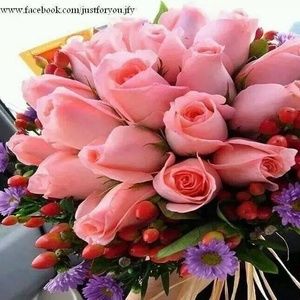 Meet your Posher, Samina