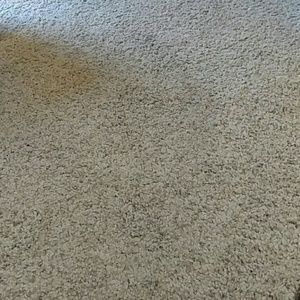 Meet your Posher, Barb