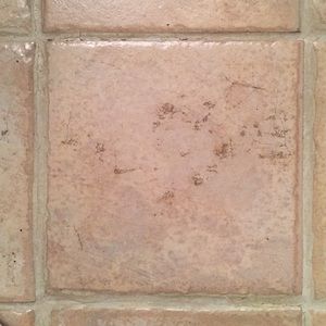 Meet your Posher, Sherrill