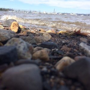 Meet your Posher, April