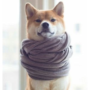 Meet your Posher, Jongeun