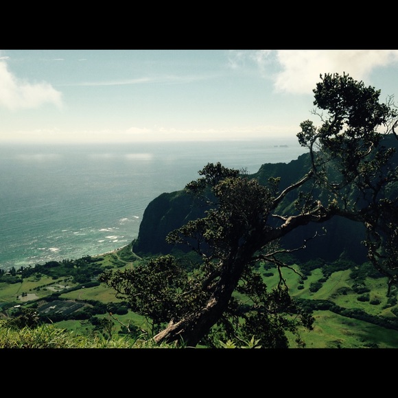 Meet your Posher, Joslyn - Picture 1 of 1