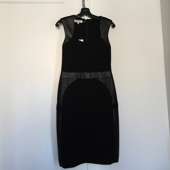 Teri Jon Black Dress with Leather Trimming