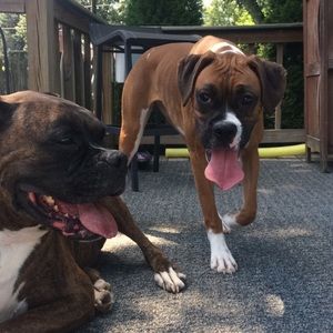 Meet your Posher, Jenna