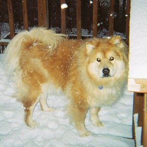 Meet your Posher, Rilla