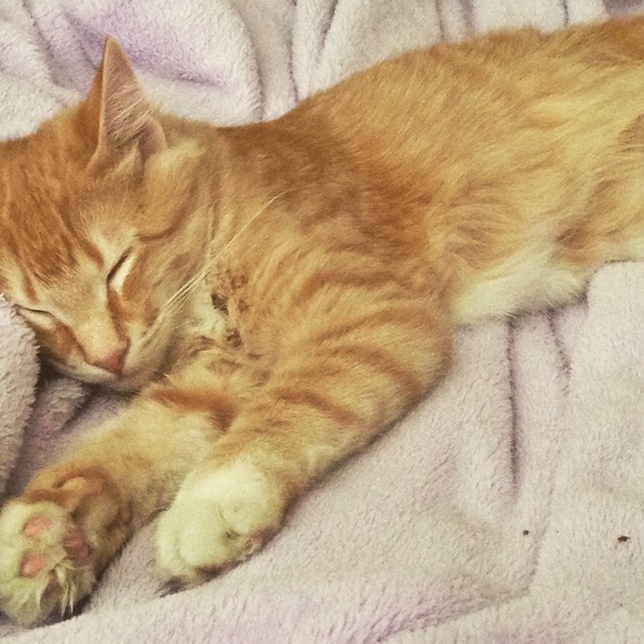 Meet your Posher, Leah