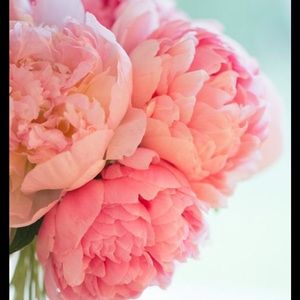 Meet your Posher, Younghee