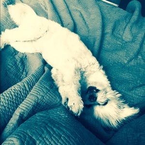 Meet your Posher, Justine