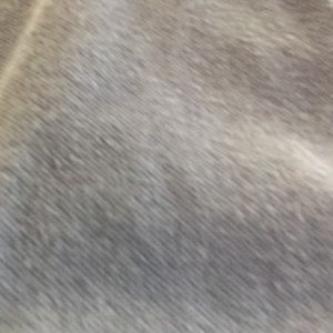 Meet your Posher, Tim