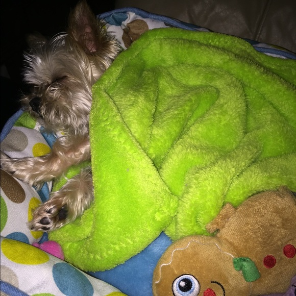 ❤️🐶Sleeping Beauty! 🐶❤️
