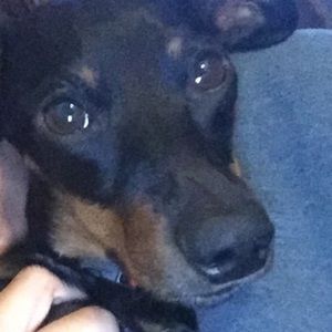 Meet your Posher, Catherine