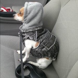 Meet your Posher, Christina