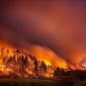 Meet your Posher, Cassie