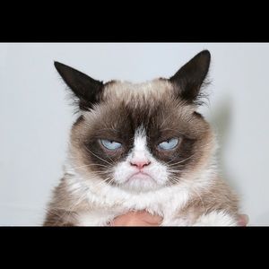 Meet your Posher, Sam