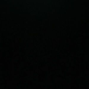 Meet your Posher, Mickie