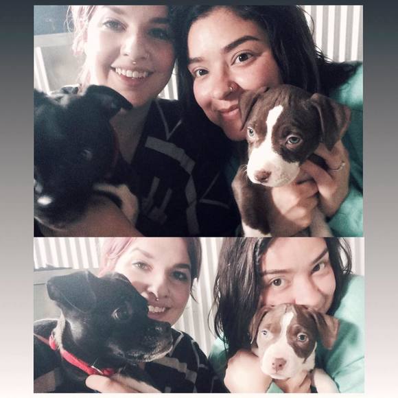 Meet your Posher, Ashley