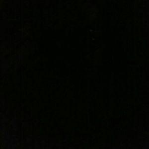 Meet your Posher, Sandy