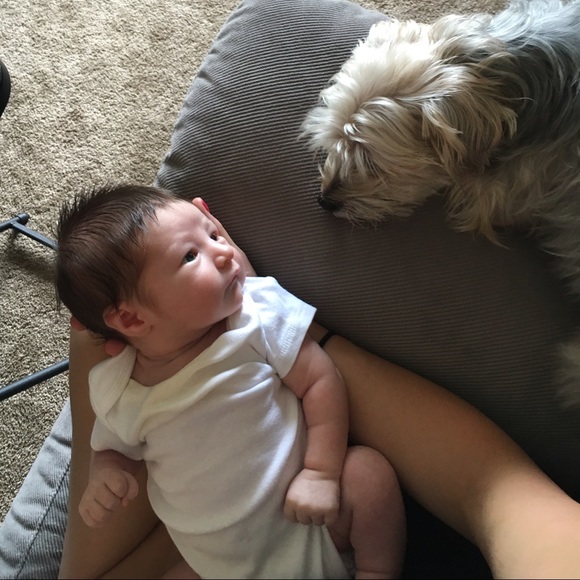 Meet your Posher, Katelyn - Picture 2 of 4