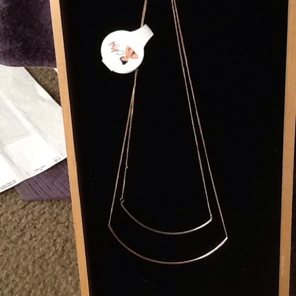 Double chain dainty necklace