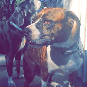 Meet your Posher, Keith