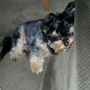 Meet your Posher, Samantha