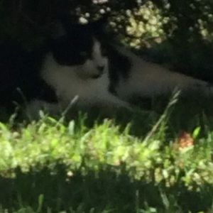 Meet your Posher, Faiza