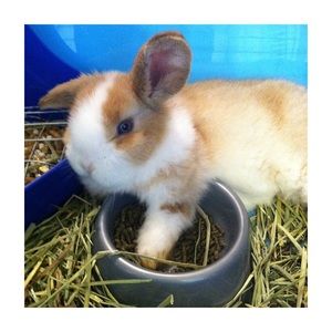 Meet your Posher, Caitlyn