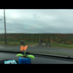 Meet your Posher, Debbie