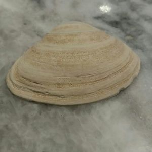 Meet your Posher, Sherri