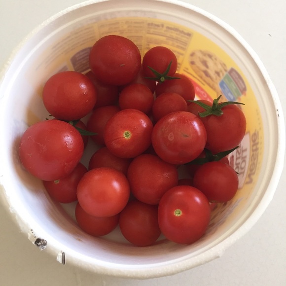 Meet your Posher, Rachel - Picture 1 of 1