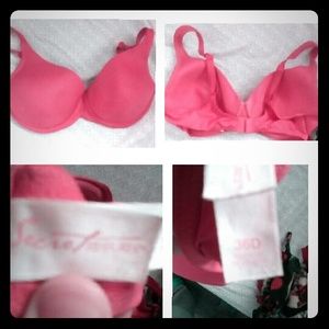 Secret Treasures Bra