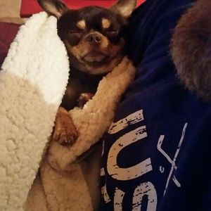 Meet your Posher, Deanna