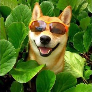 Meet your Posher, Madeline