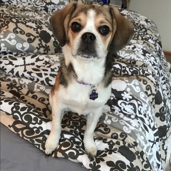 Meet your posher!! - Picture 2 of 2